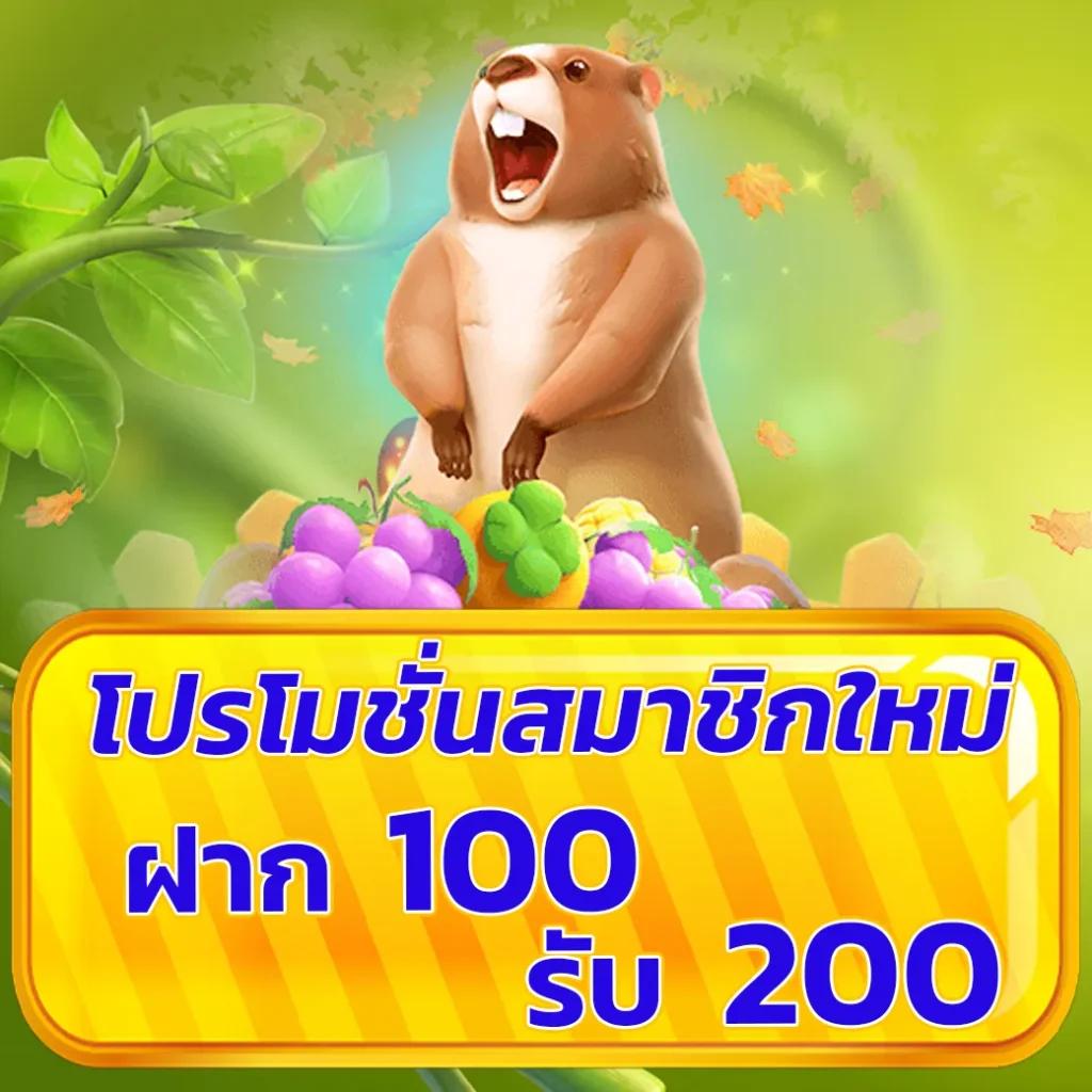 PK789 โค้ดโปรโมชั่นเด่นล่าสุด พร้อมสิทธิพิเศษเฉพาะสมาชิก