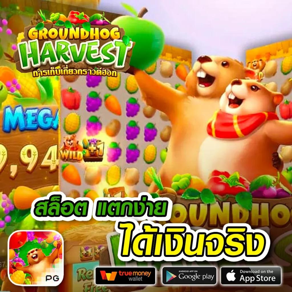 Slot Ninja คาสิโนออนไลน์ยอดนิยม ระบบทันสมัย โบนัสไร้ขีดจำกัด