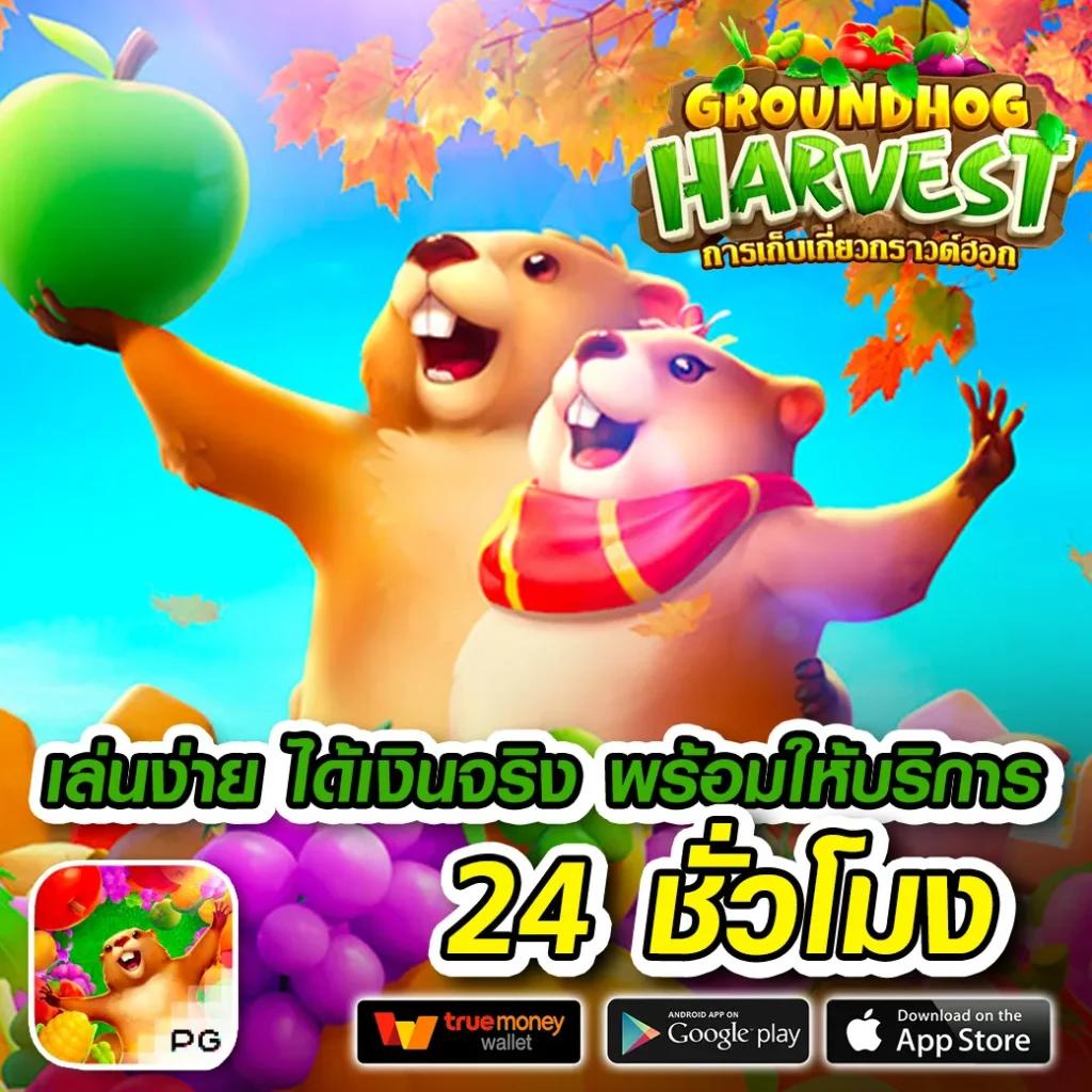 shark slot คาสิโนออนไลน์ครบวงจร ฝากถอนรวดเร็ว ระบบมั่นคง
