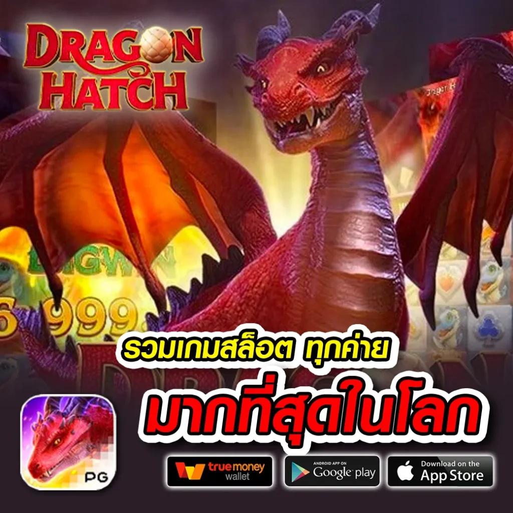 เว็บ หมีสีชมพู คาสิโนออนไลน์อันดับหนึ่งมีโปรโมชั่นสุดพิเศษ
